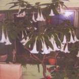 org:/landingpages/winnaars DK NO SE/19e-prize-scandinavie.jpg